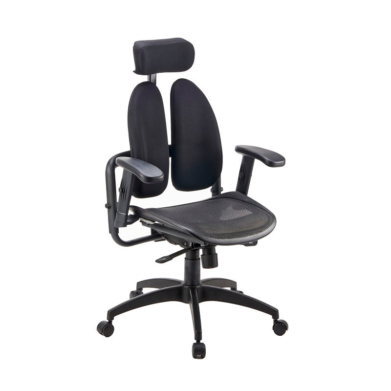 Duorest [Dual-backrests Alpha - Ergonomic Office Chair, Home Office Desk  Chairs, Executive Office Chair, Best Office Chair for Lower Back Pain, Mesh