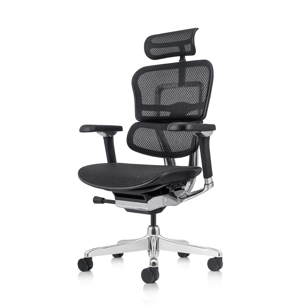 Ergohuman Luxury 2 Matrex USA Patent Mesh Ergonomic Office Chair