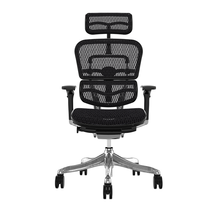 Ergohuman Plus Elite Matrex USA Patent Mesh Ergonomic Office Chair