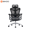 Sihoo Doro C300 Classic Ergonomic Chair (5 Years Limited Warranty)