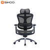 Sihoo Doro C300 Mesh Ergonomic Office Chair (5 Years Limited Warranty)