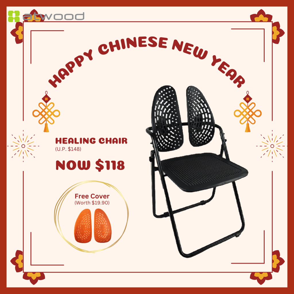 [CNY PROMOTION] The Healing Chair E1538 Ortho Back Folding Chair (1 Year Limited Warranty)