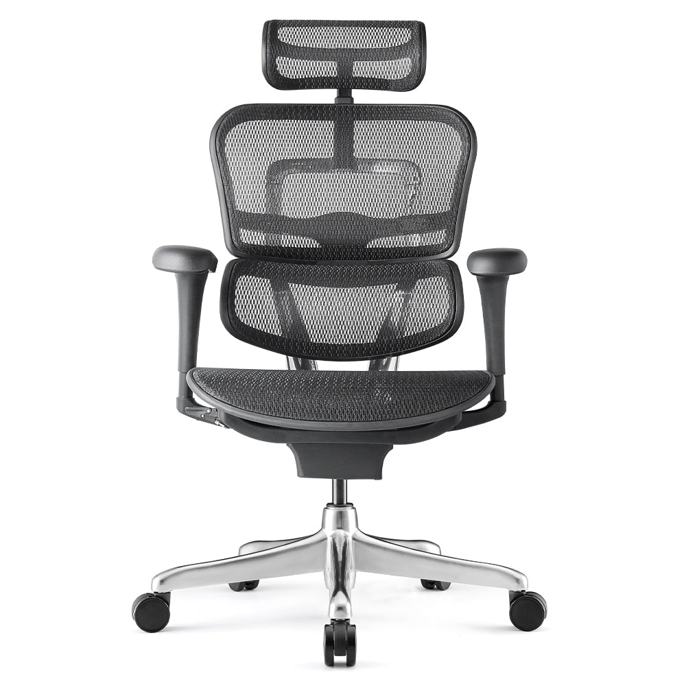 Ergohuman Pro 2 Matrex USA Patent Mesh Ergonomic Office Chair