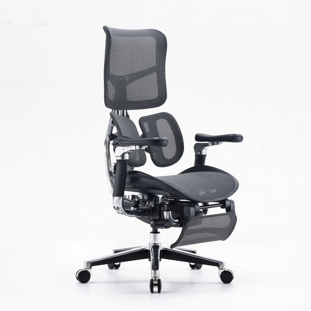 Sihoo Doro S300 Mesh Ergonomic Office Chair