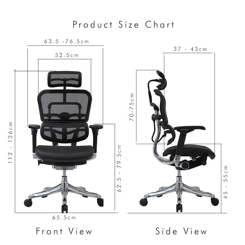 Ergohuman Plus Elite Matrex USA Patent Mesh Ergonomic Office Chair